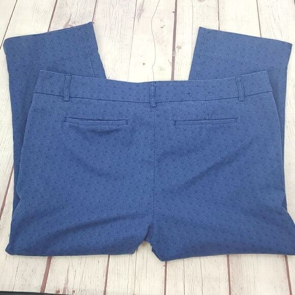 Hilary Radley Blue Combo Cropped Pants Size 14 - Picture 8 of 17
